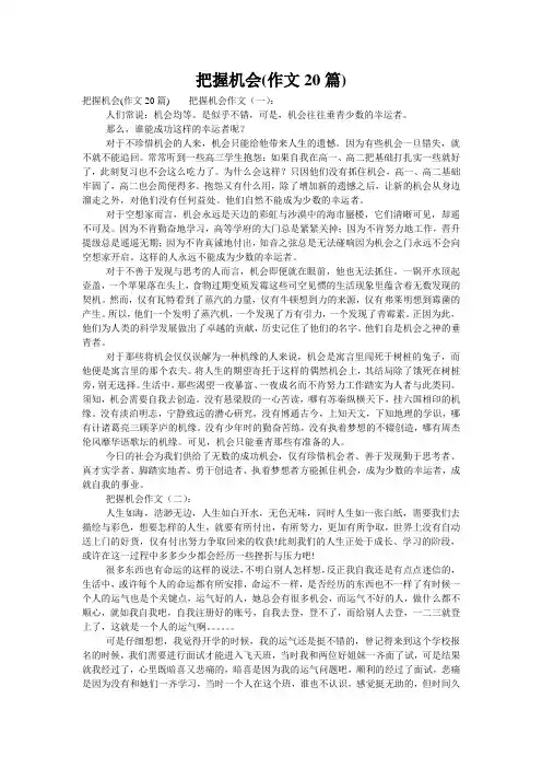 把握机会(作文20篇)