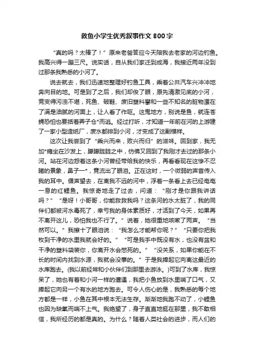 救鱼小学生优秀叙事作文800字