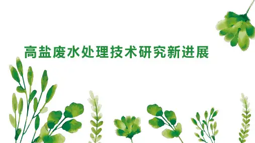 高盐废水处理技术研究新进展