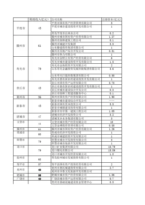 山东百强县政府融资平台公司