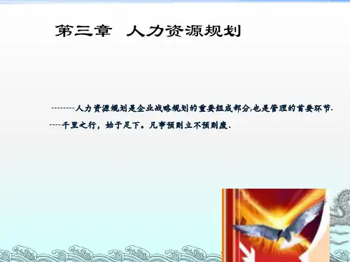 《人力资源规划案例》PPT课件