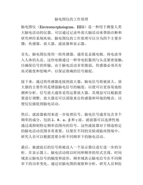 脑电图仪的工作原理