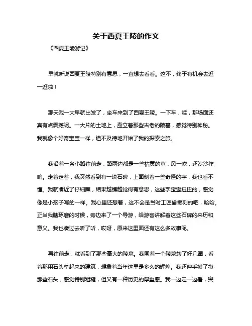 关于西夏王陵的作文
