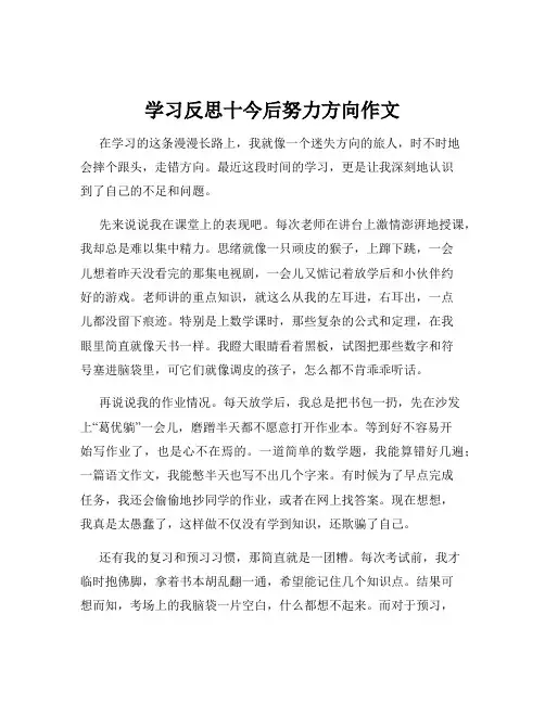 学习反思十今后努力方向作文