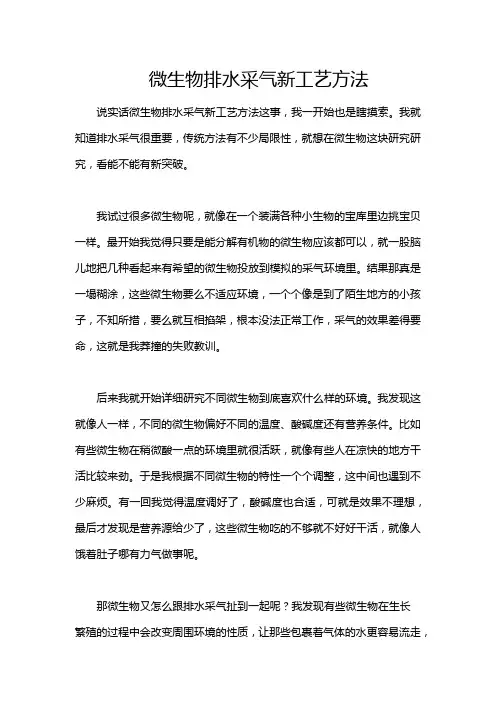 微生物排水采气新工艺方法