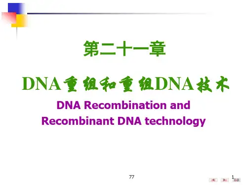 DNA重组及重组DNA技术解读