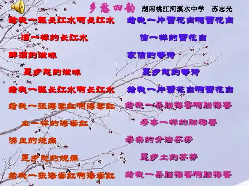 当我死时PPT6 北师大版 (共12张PPT)