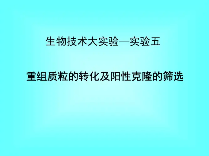 重组质粒的转化及阳性克隆的筛选