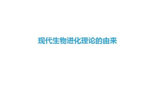 现代生物进化理论的由来 课件
