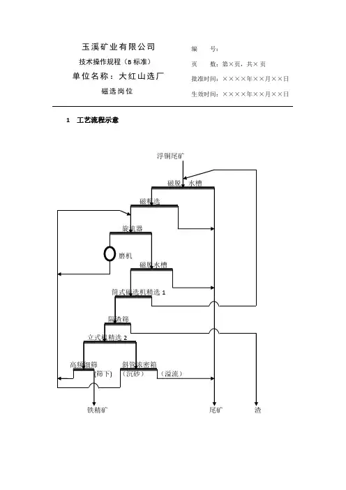 磁选技术操作规程(B标准)