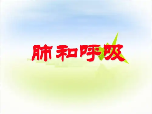 1616《肺和呼吸》课件