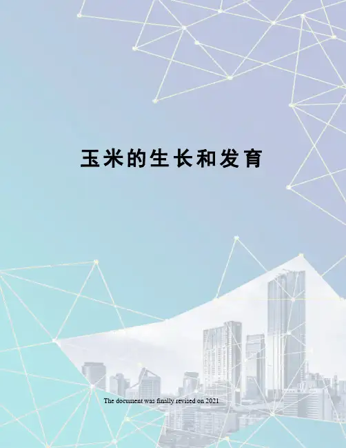 玉米的生长和发育