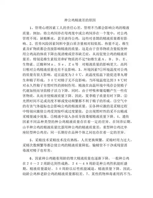 种公鸡精液差的原因