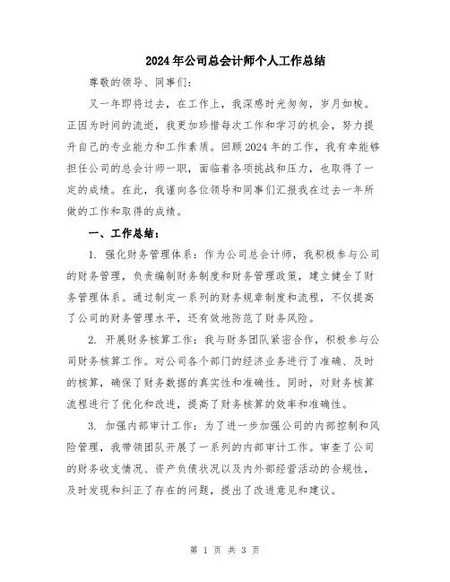 2024年公司总会计师个人工作总结