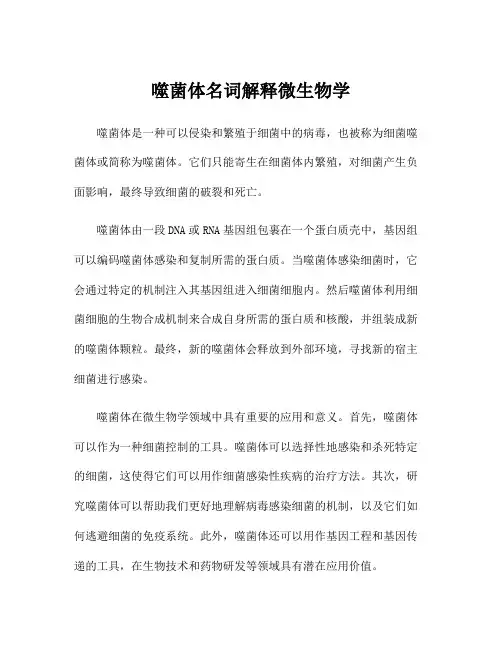 噬菌体名词解释微生物学