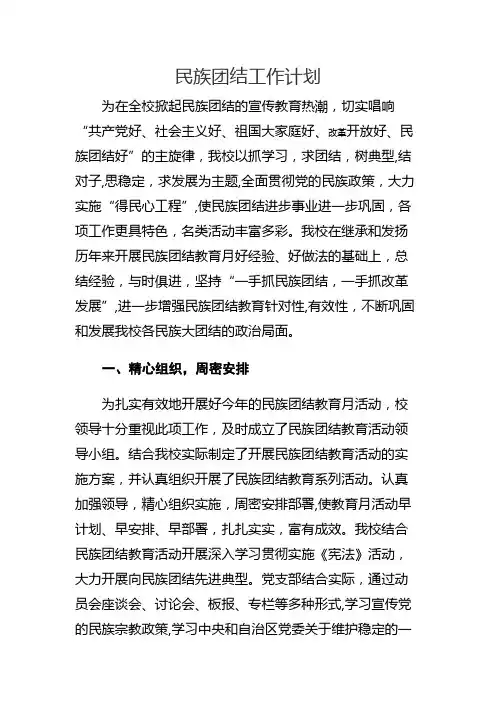 学校民族团结工作计划