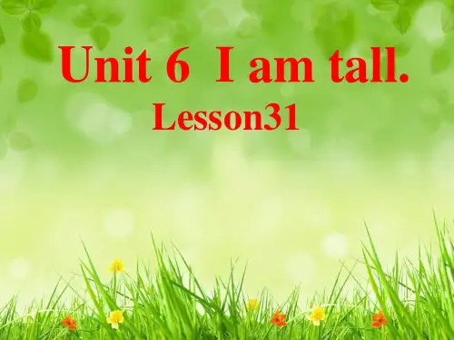 四年级上册英语课件-Unit6 I'm tall.(Lesson31) ｜人教精通版