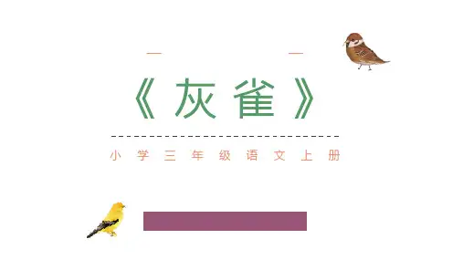 部编版三年级上册语文《灰雀》PPT优秀课件说课