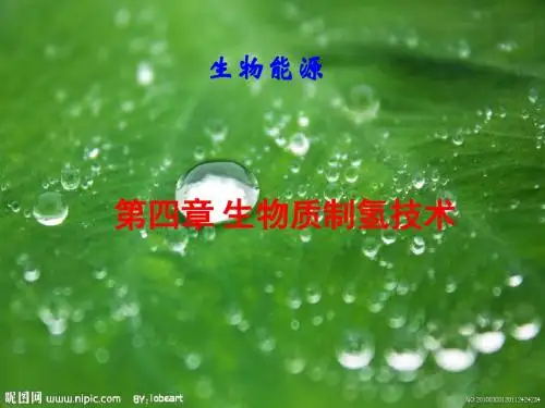 生物质制氢技术