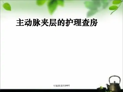 主动脉夹层的护理查房66390ppt课件