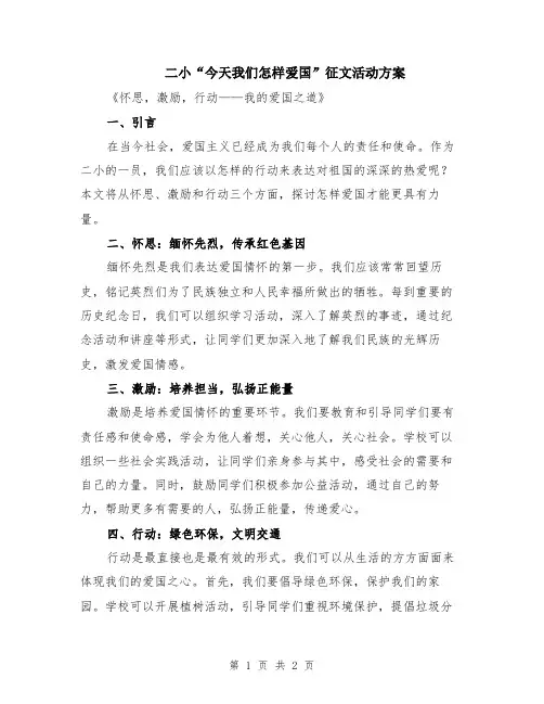二小“今天我们怎样爱国”征文活动方案