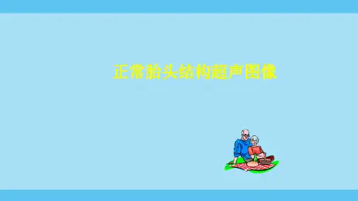 正常胎头结构超声图像
