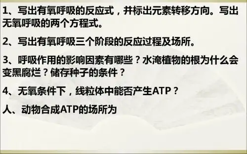 高中生物必修一第五章第四节光合作用(共47张PPT)