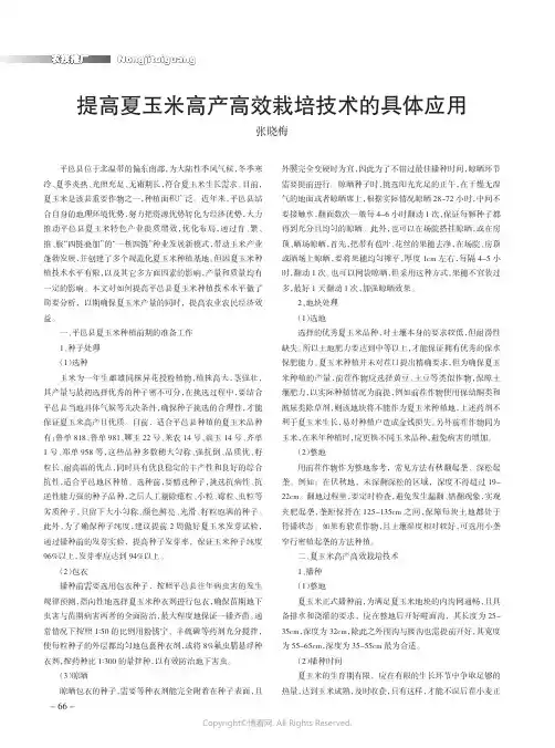 提高夏玉米高产高效栽培技术的具体应用