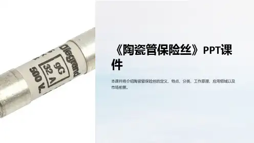 《陶瓷管保险丝》课件