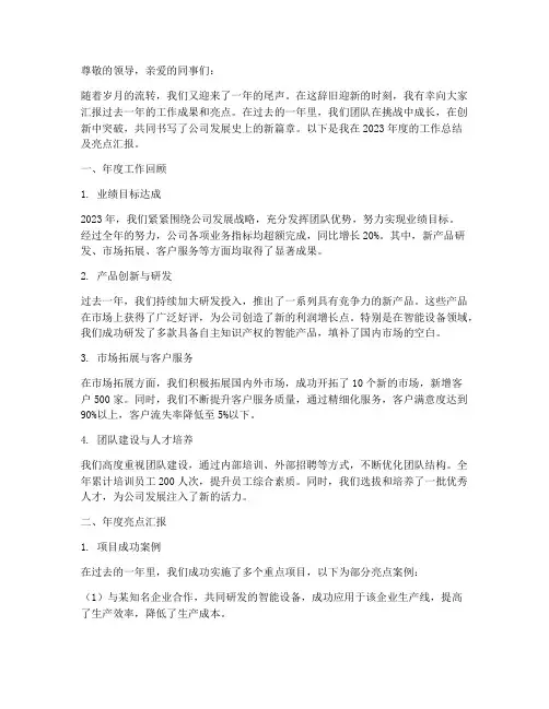 年度总结及亮点汇报