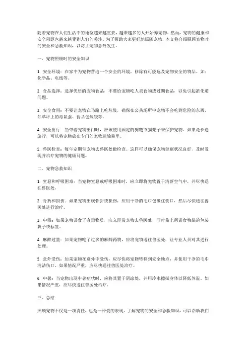防止宠物意外：照顾宠物时的安全和急救知识