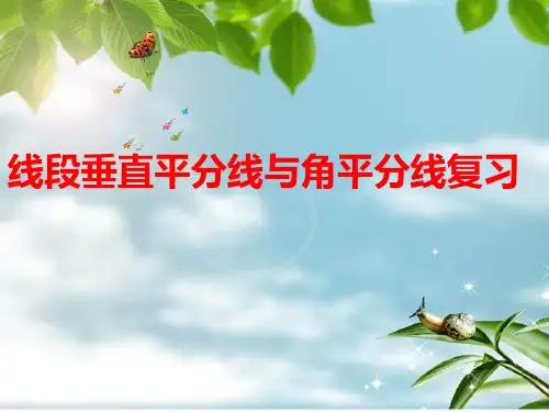线段的垂直平分线和角平分线的复习(适合各种版本)知识讲解