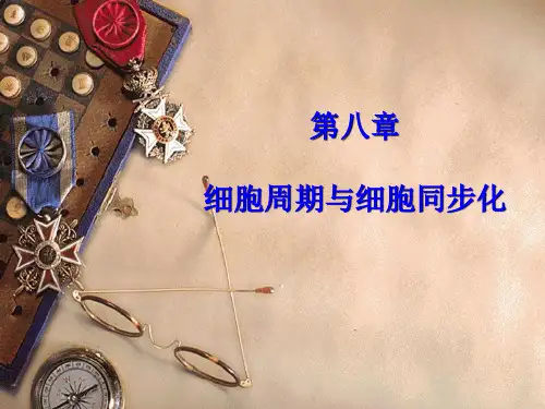 细胞周期与细胞同步化