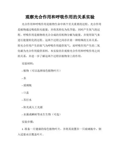 观察光合作用和呼吸作用的关系实验