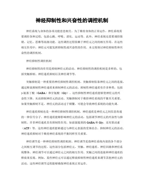 神经抑制性和兴奋性的调控机制