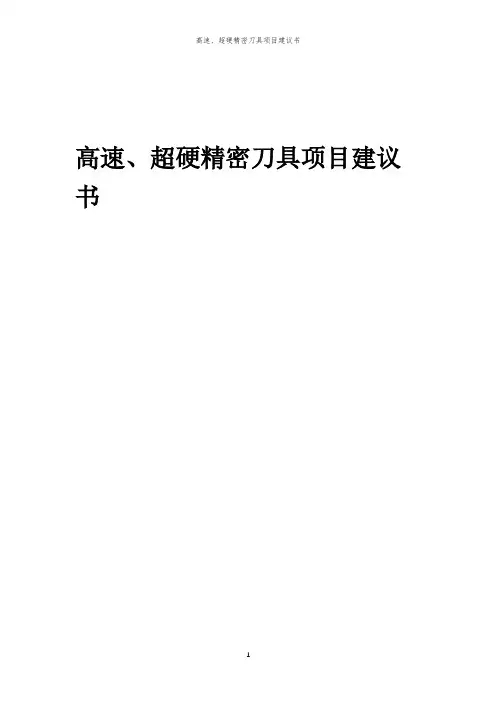 2024年高速、超硬精密刀具项目建议书报告