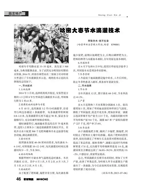 哈密大枣节水滴灌技术