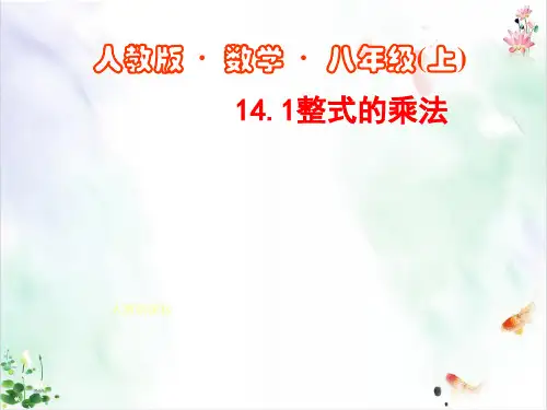 《整式的乘法与因式分解》精品ppt课件