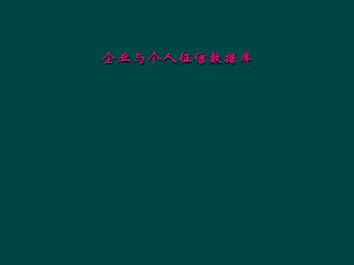 企业与个人征信数据库