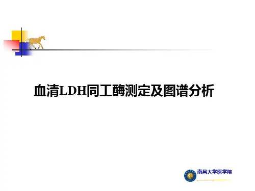 血清LDH同工酶测定