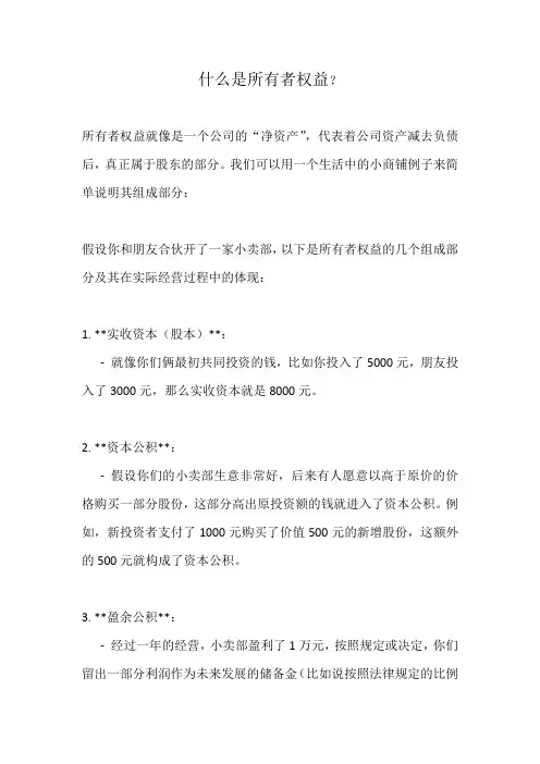 什么是所有者权益？