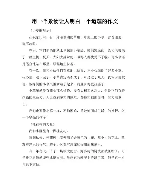 用一个景物让人明白一个道理的作文