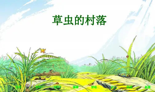 人教新课标小学六年级语文上册草虫的村落PPT课件