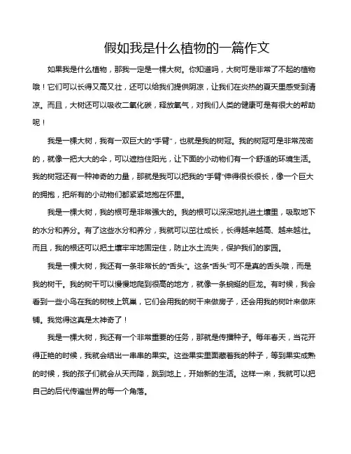 假如我是什么植物的一篇作文