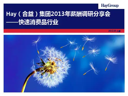 合益集团(教材HayGroup)薪资调研分享会_快消行业_上