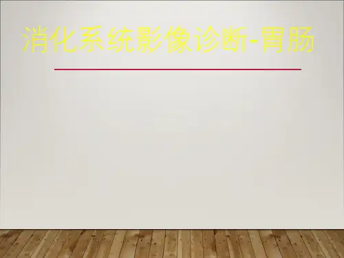胃肠影像诊断