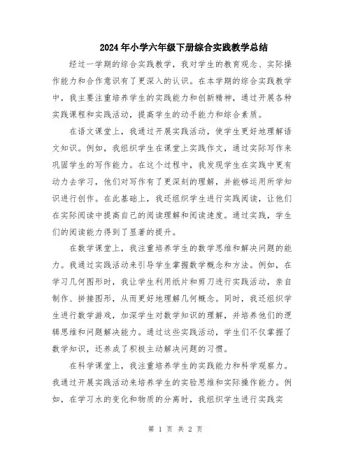 2024年小学六年级下册综合实践教学总结