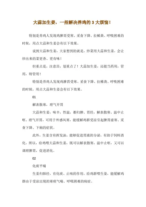 大蒜加生姜,一招解决养鸡的3大烦恼!