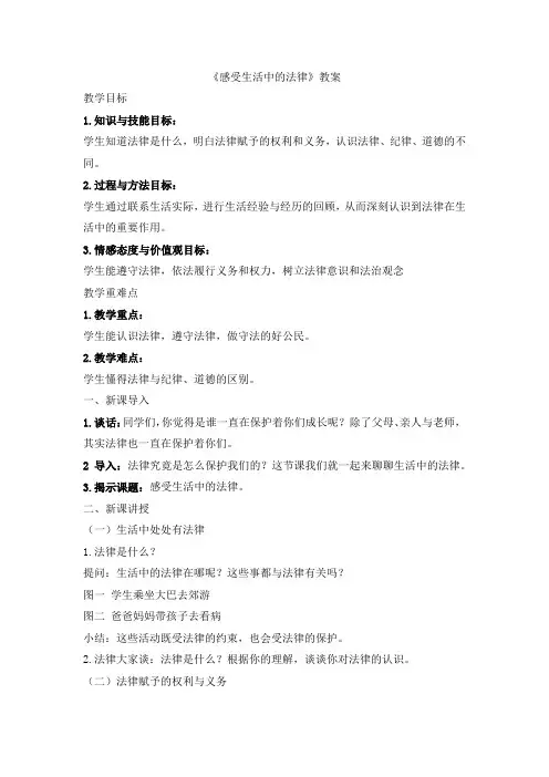 感受生活中的法律教学设计