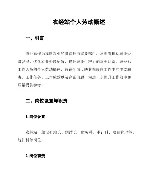 农经站个人劳动概述